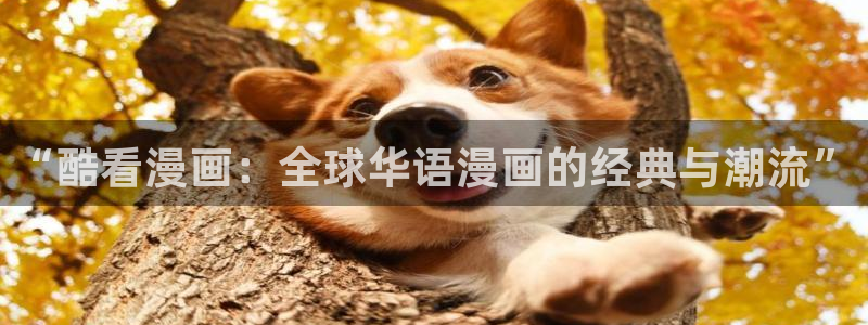yy漫画在线入口：“酷看漫画：全球华语漫画的经典与潮流”