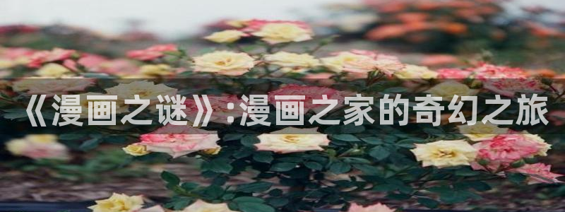 韩国yy漫画在线观看：《漫画之谜》:漫画之家的奇幻之旅